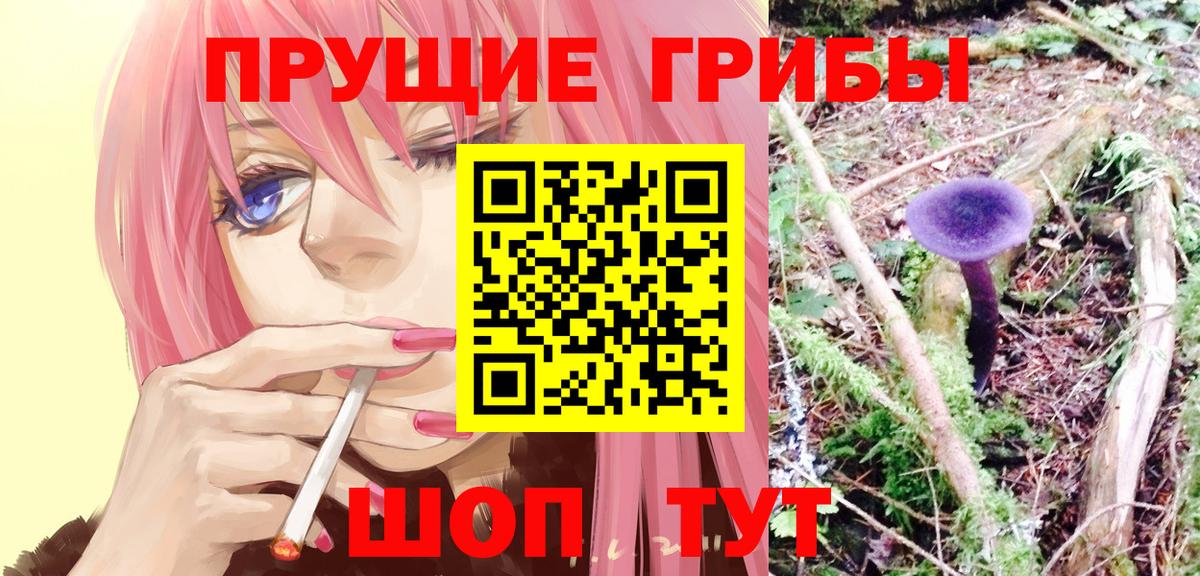 Галлюциногенные грибы Psilocybe  Вход с VPN  Татарск 