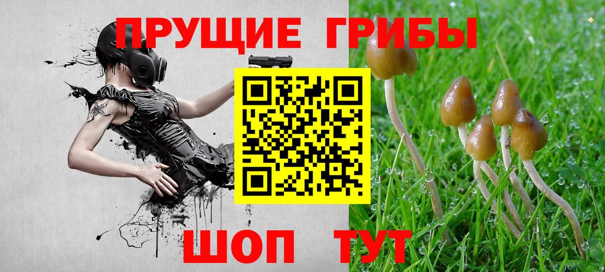 Псилоцибиновые грибы ЛСД Татарск